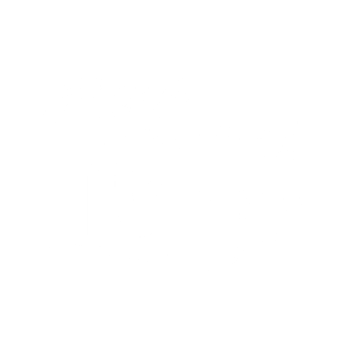 Holiday Lighting Installation